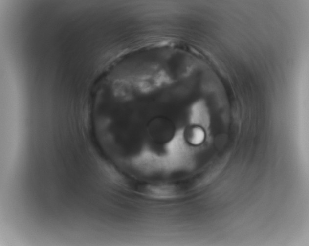 X0000114190359200910091237
