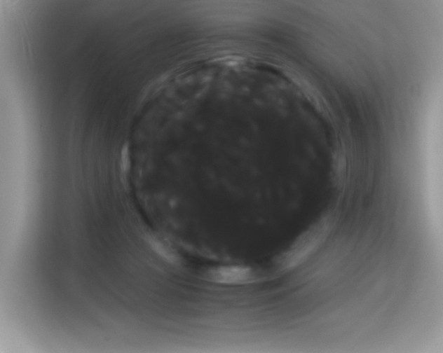 X0000114190361200910091237
