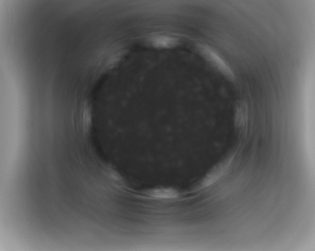 X0000114190363200910091237