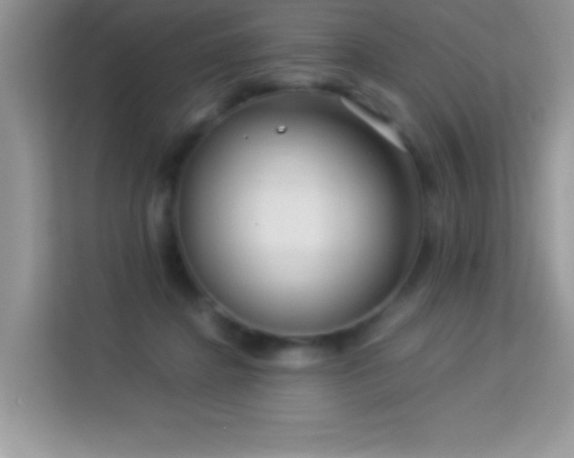 X0000114190364200910091237