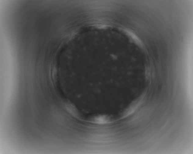 X0000114190365200910091237