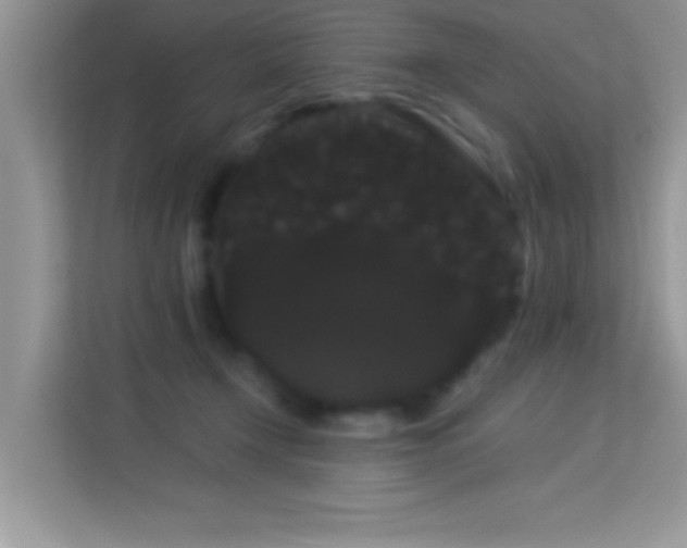 X0000114190366200910091237