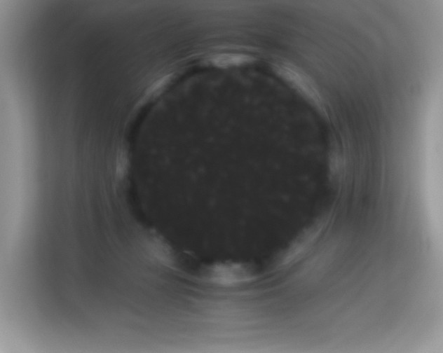 X0000114190367200910091237