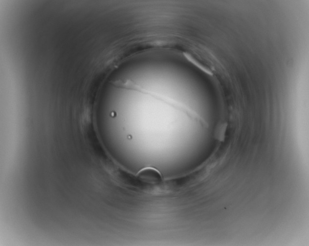 X0000114190368200910091237