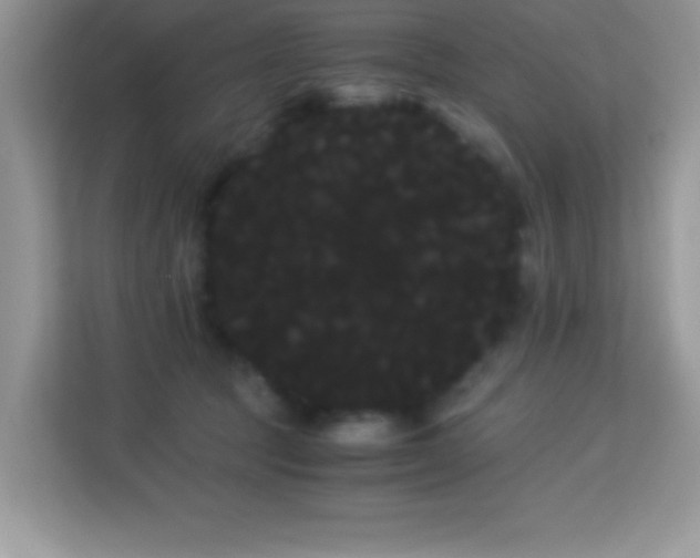 X0000114190369200910091237