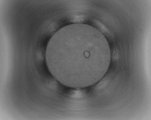 X0000114190370200910091237