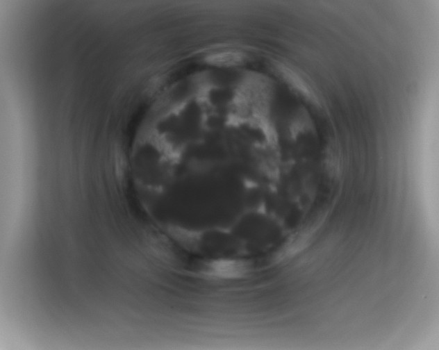 X0000114190371200910091237