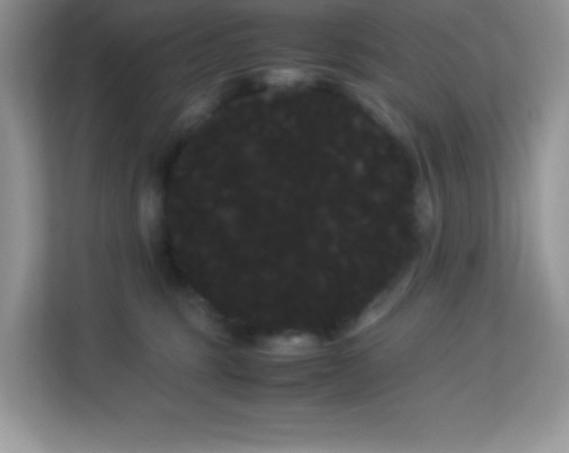 X0000114190375200910091237