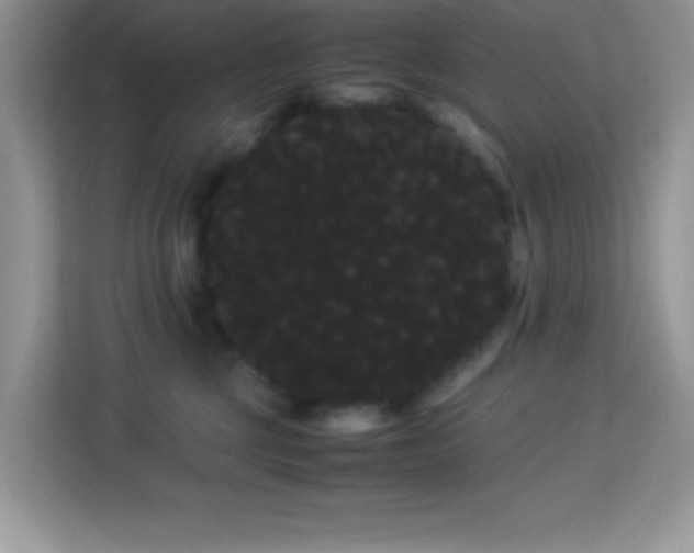X0000114190377200910091237