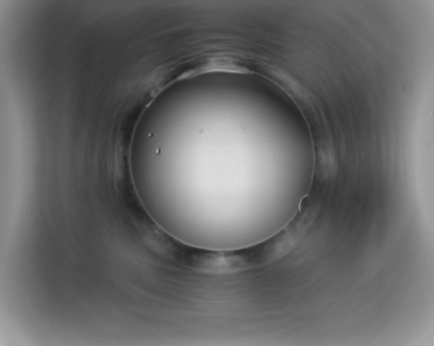 X0000114190379200910091237