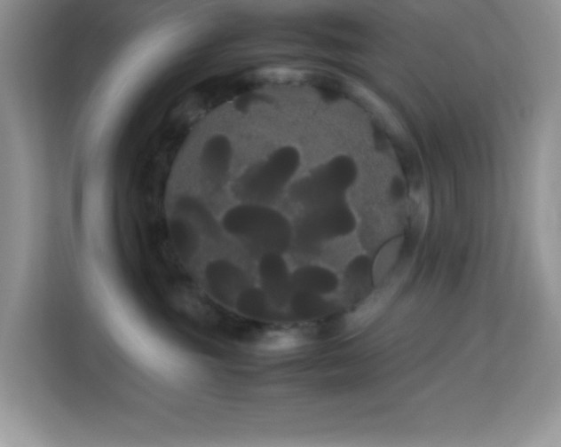 X0000114190381200910091237