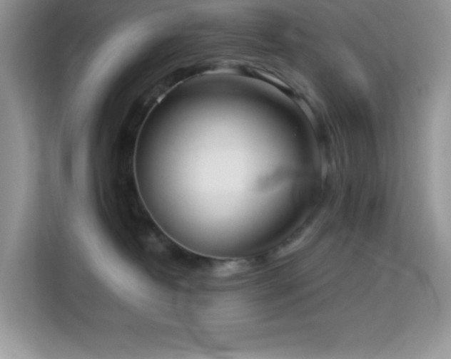 X0000114190382200910091237