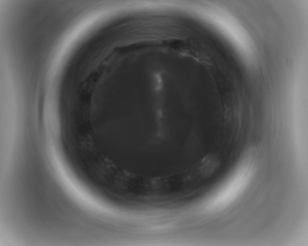 X0000114190383200910091237