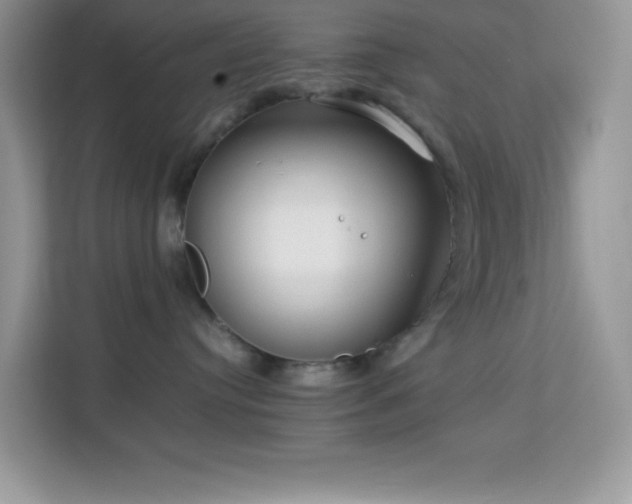 X0000114190384200910091237