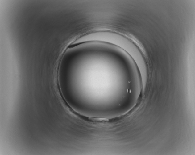 X0000114190385200910091236