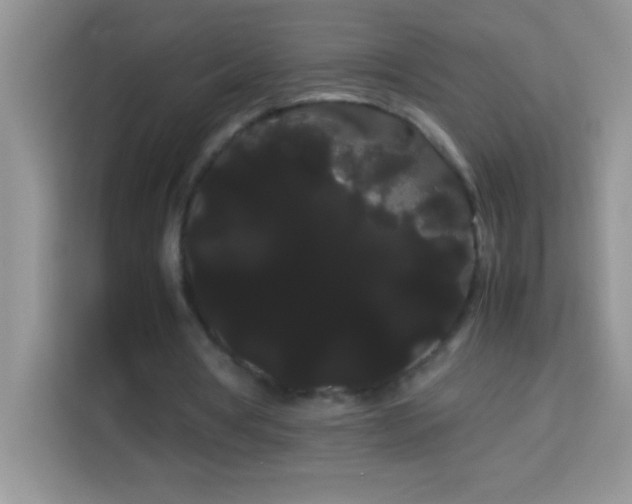 X0000114190386200910091236