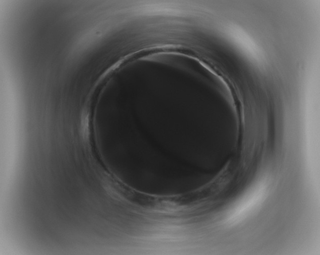 X0000114190387200910091236
