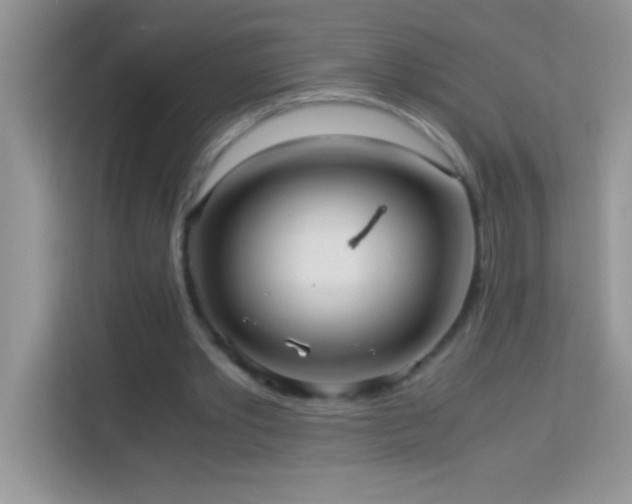 X0000114190389200910091236