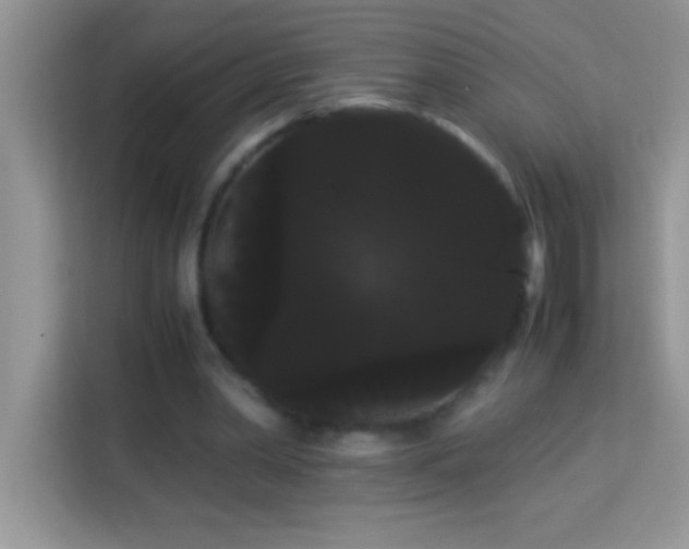 X0000114190390200910091236