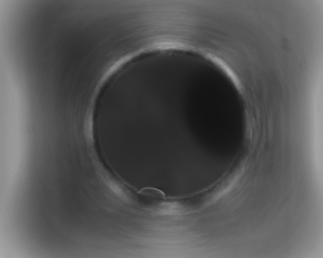 X0000114190391200910091236