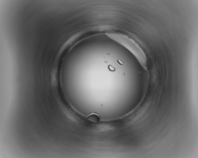 X0000114190392200910091236