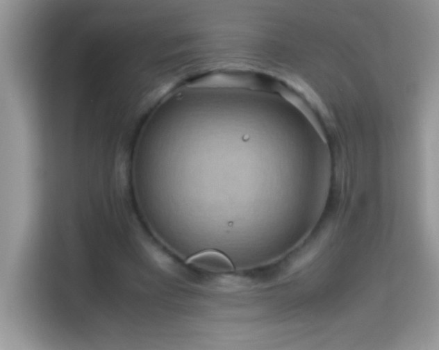 X0000114190393200910091236