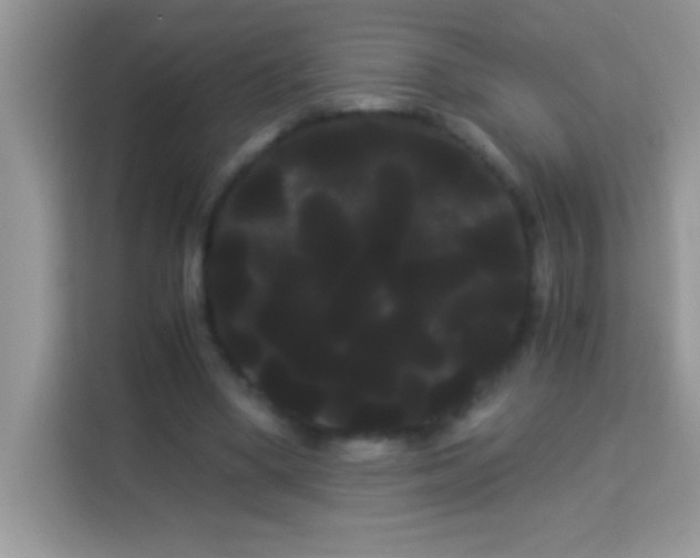 X0000114190394200910091236