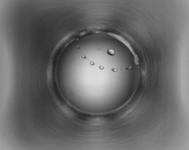 X0000114190396200910091236