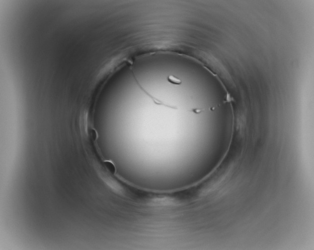 X0000114190397200910091236
