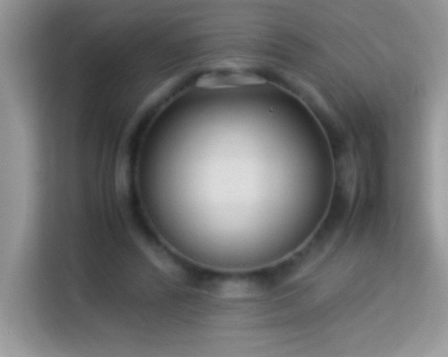 X0000114190400200910091236