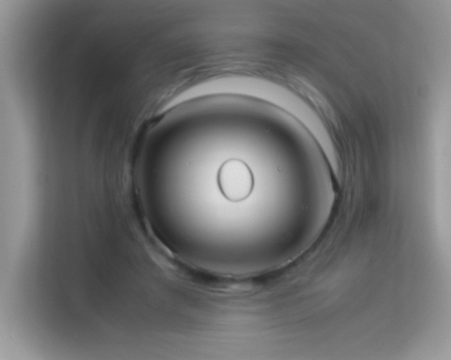 X0000114190401200910091236