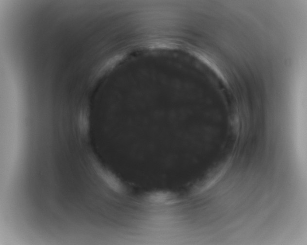 X0000114190402200910091236