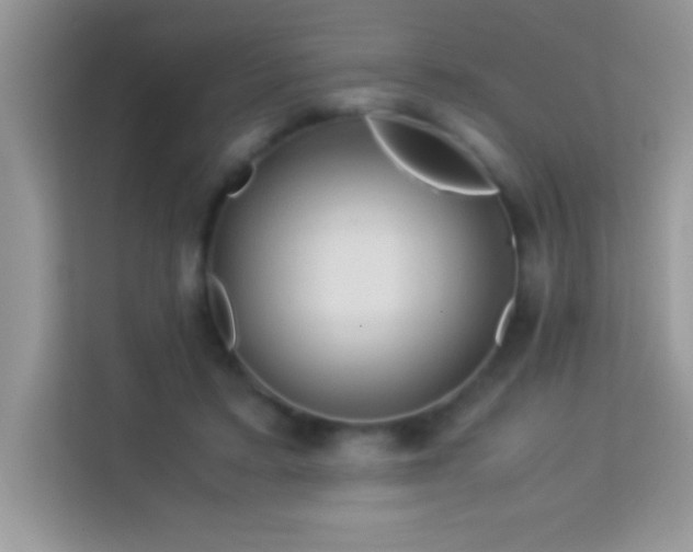 X0000114190403200910091236