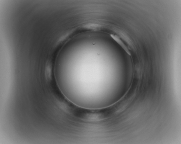 X0000114190404200910091236