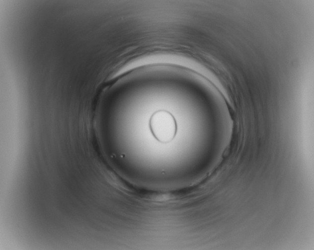 X0000114190409200910091236