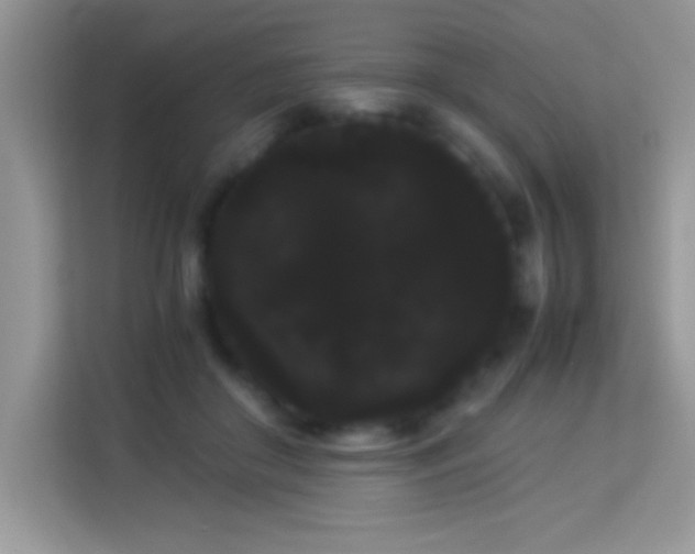 X0000114190410200910091236