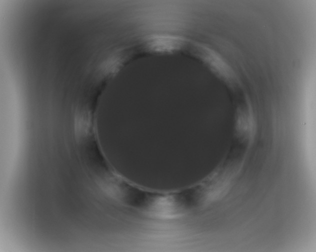 X0000114190411200910091236