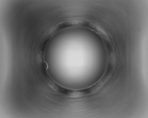 X0000114190413200910091236