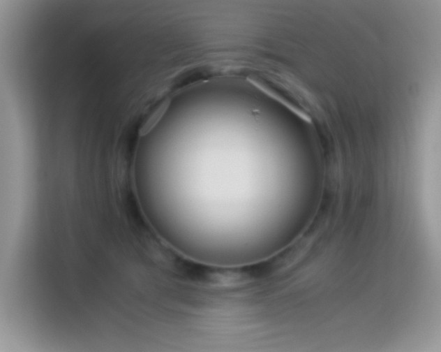 X0000114190417200910091236