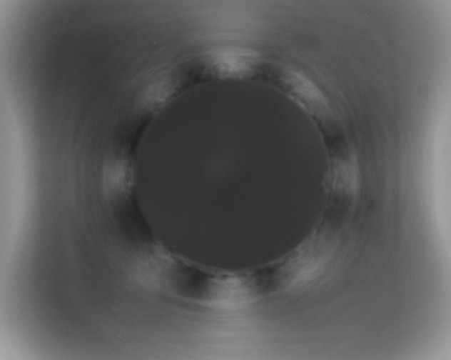 X0000114190419200910091236