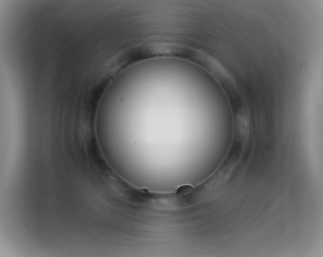 X0000114190422200910091236