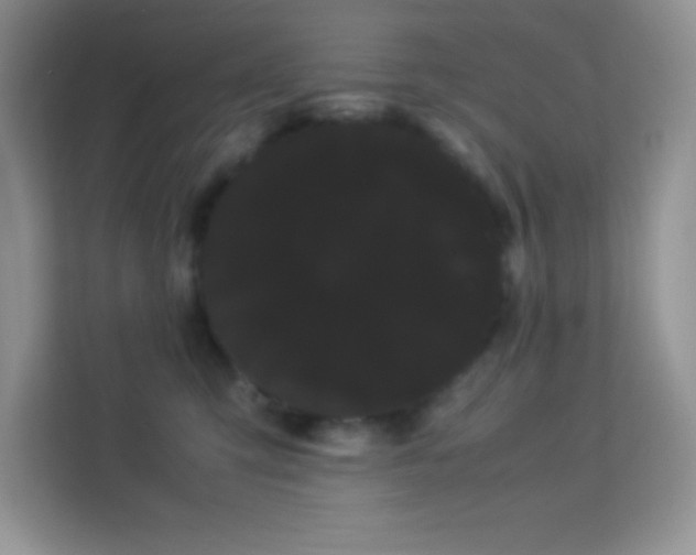 X0000114190423200910091236