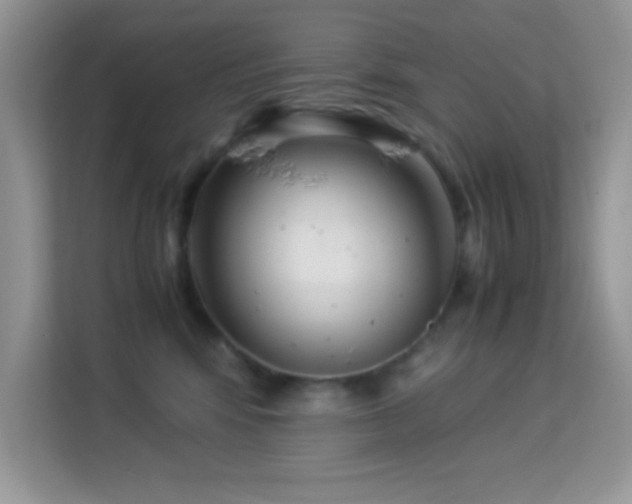 X0000114190424200910091236