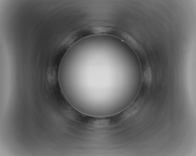 X0000114190426200910091236