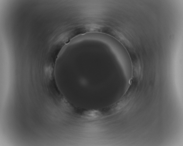 X0000114190427200910091236