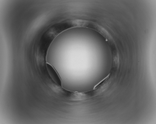 X0000114190429200910091236