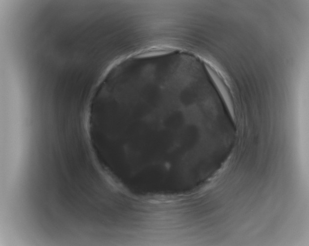 X0000114190434200910091235