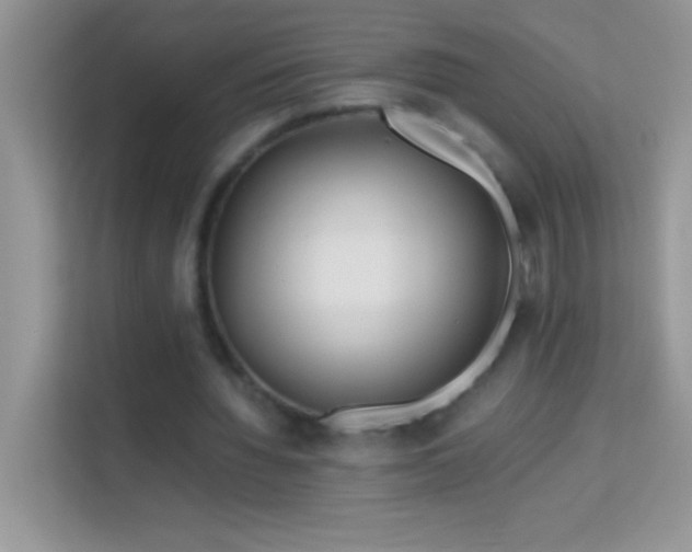 X0000114190436200910091235