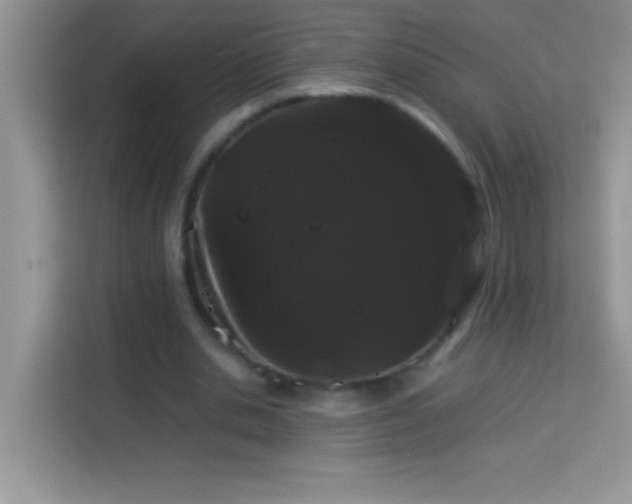 X0000114190438200910091235