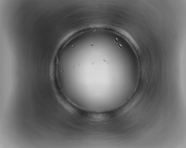 X0000114190439200910091235
